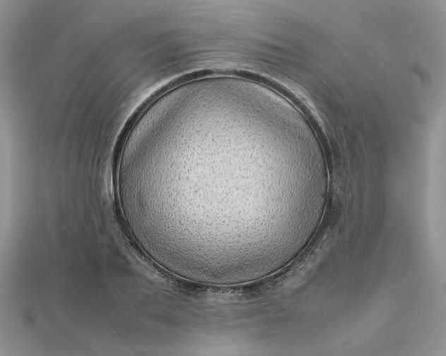 X0000112810887200909041452