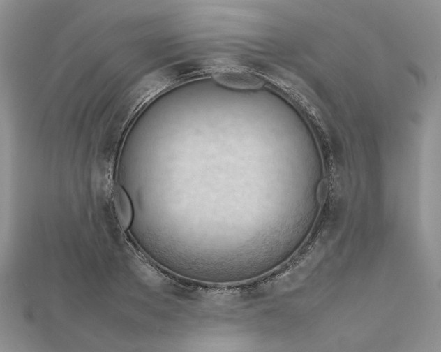 X0000112810889200909041452