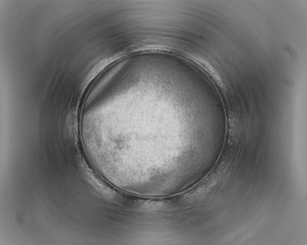 X0000112810890200909041452