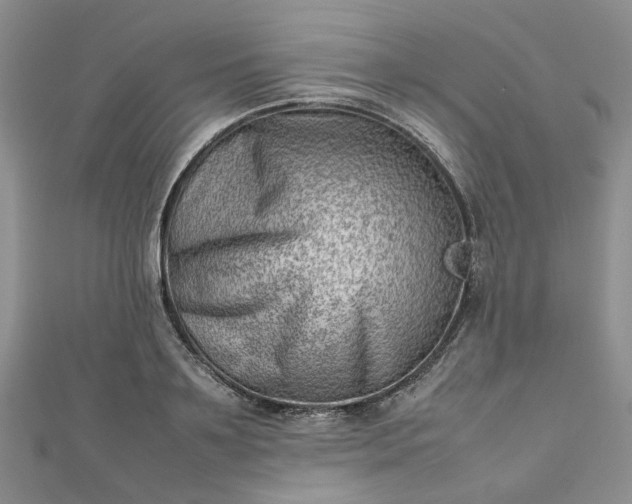 X0000112810891200909041452