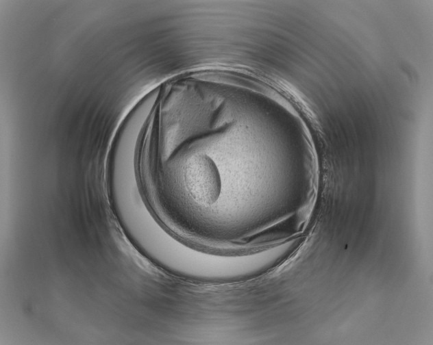 X0000112810892200909041452