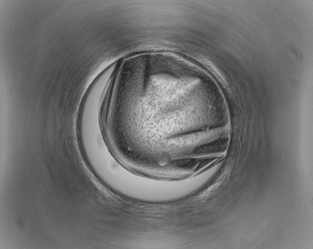 X0000112810893200909041452