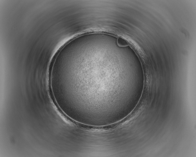 X0000112810894200909041452