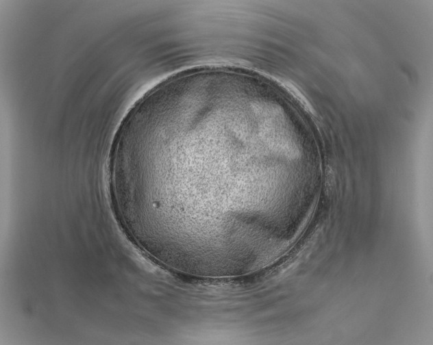 X0000112810895200909041452