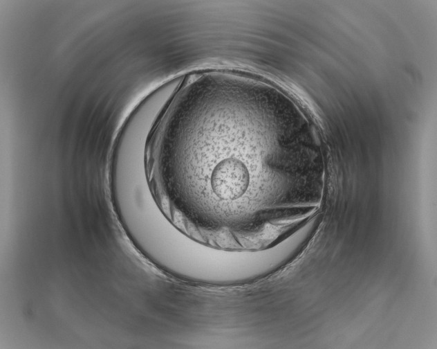 X0000112810896200909041452