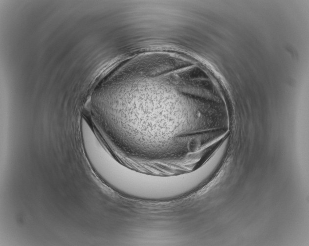 X0000112810897200909041452