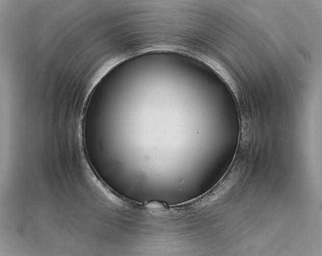 X0000112810906200909041451