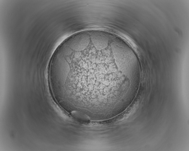 X0000112810907200909041451