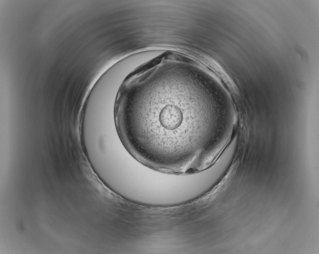 X0000112810908200909041451