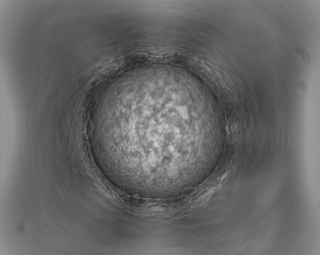 X0000112810913200909041451