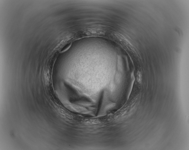 X0000112810915200909041451