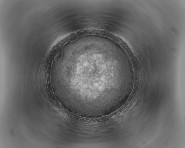 X0000112810919200909041451