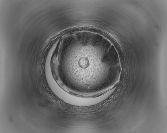 X0000112810920200909041451