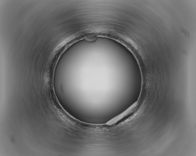 X0000112810922200909041451