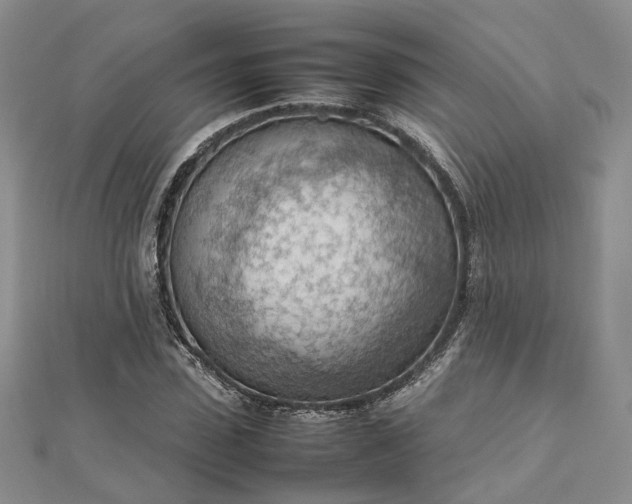X0000112810923200909041451