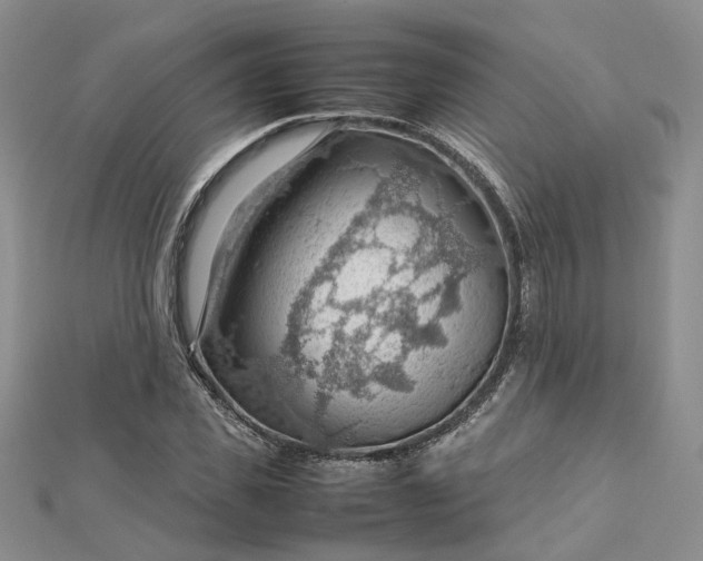 X0000112810925200909041451