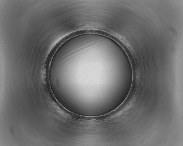 X0000112810926200909041451