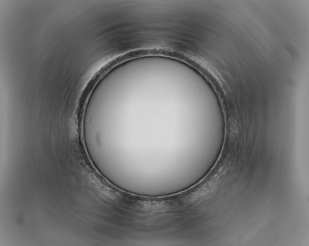 X0000112810927200909041451