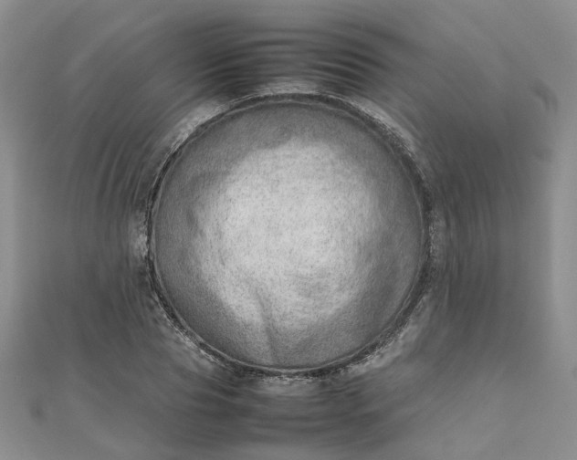 X0000112810929200909041451