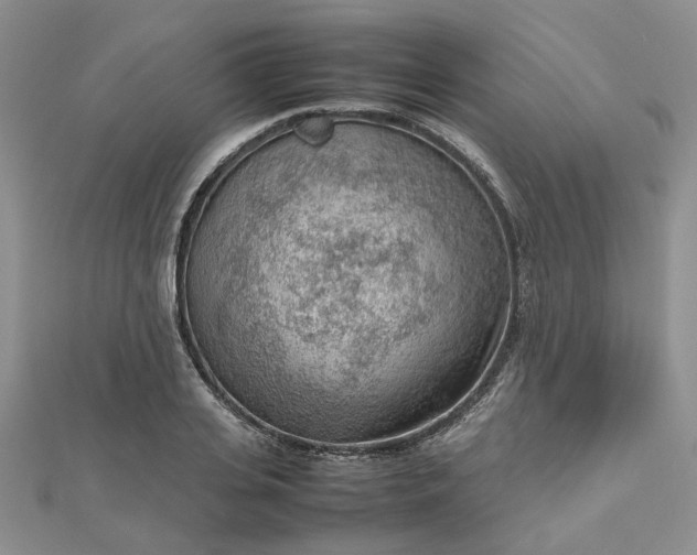 X0000112810935200909041451