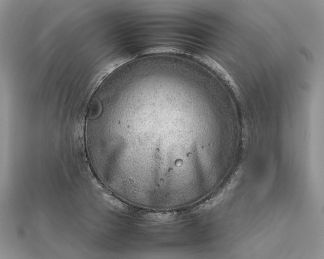 X0000112810937200909041451