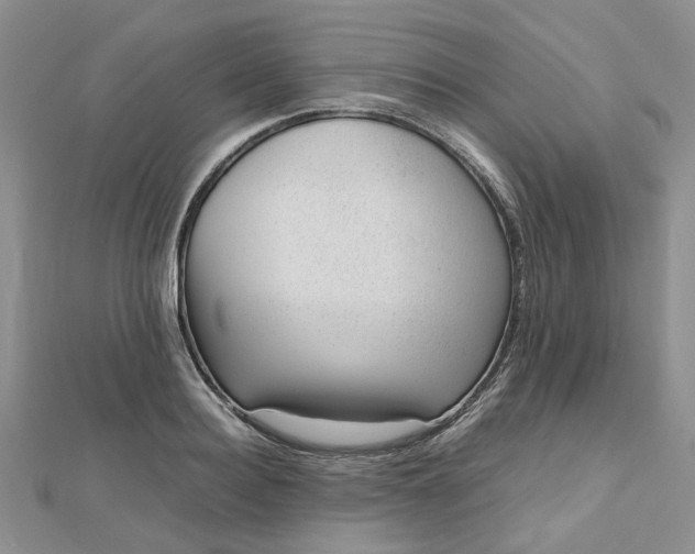 X0000112810940200909041451