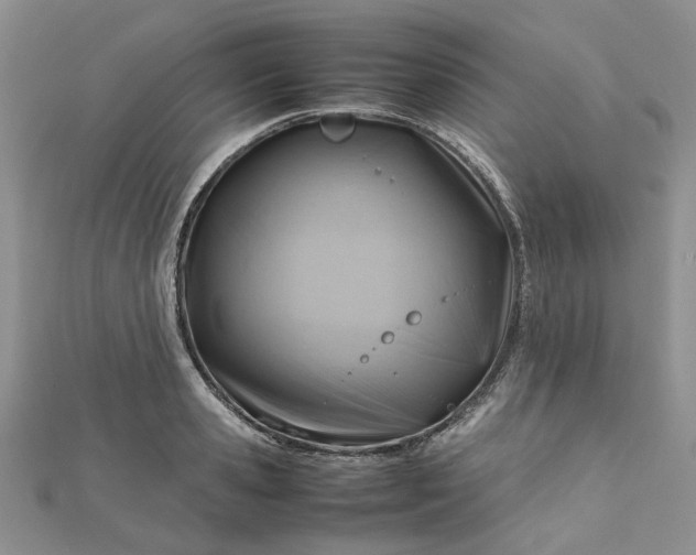 X0000112810941200909041451