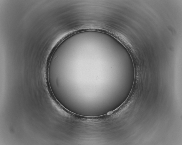 X0000112810942200909041451