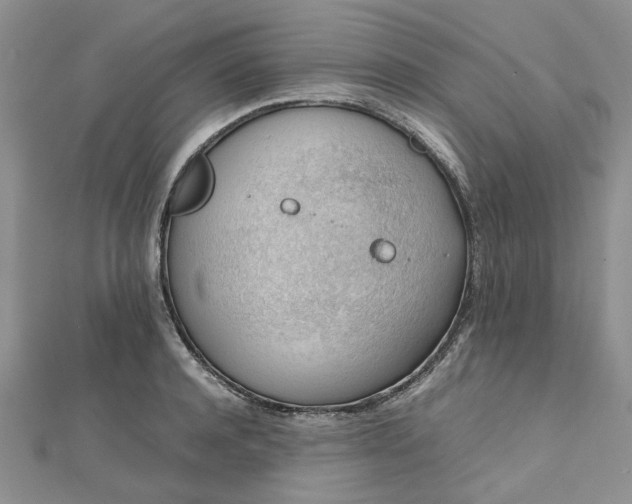 X0000112810944200909041451