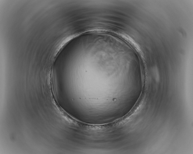 X0000112810945200909041451