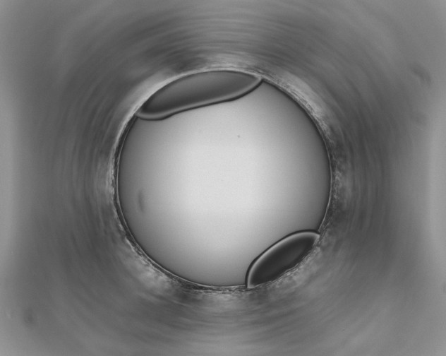 X0000112810948200909041451