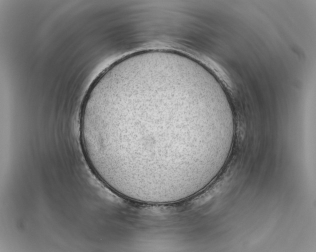 X0000112810950200909041451