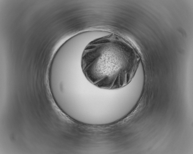 X0000112810952200909041451