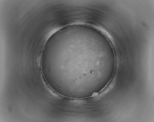 X0000112810953200909041451