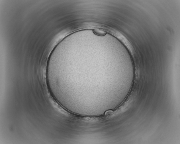 X0000112810954200909041451
