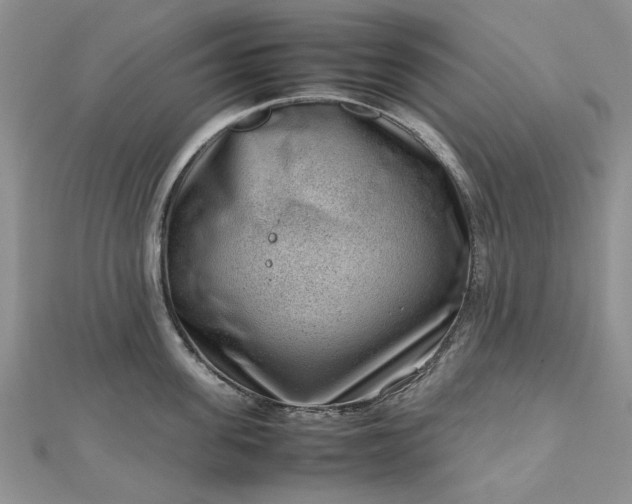 X0000112810955200909041451