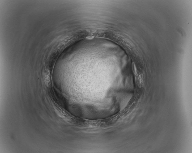 X0000112810963200909041450
