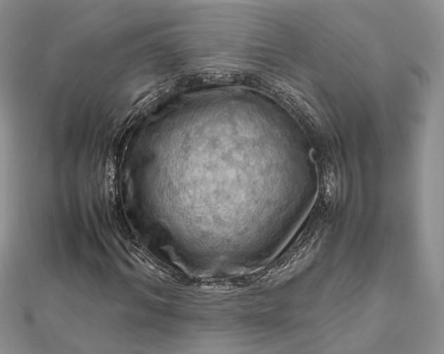 X0000112810964200909041450