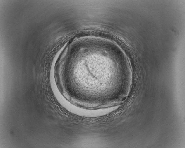X0000112810965200909041450