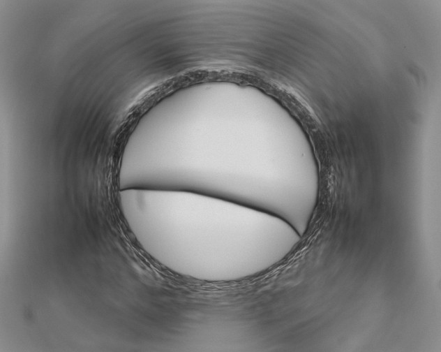 X0000112810968200909041450