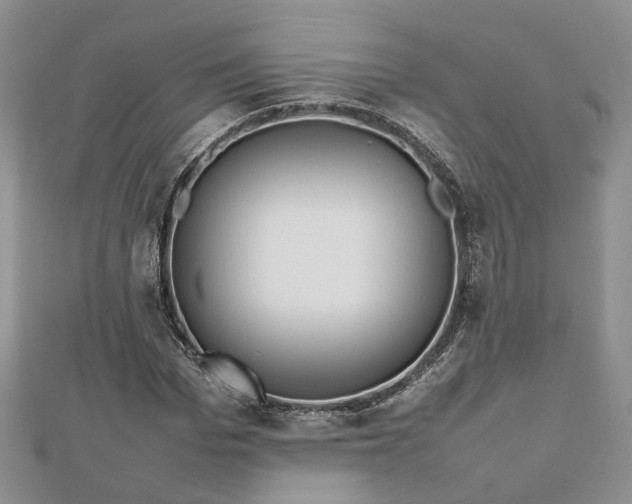 X0000112810969200909041450