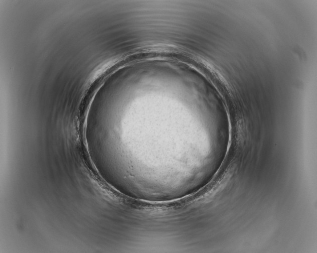 X0000112810970200909041450