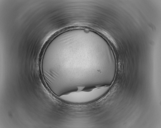 X0000112810972200909041450