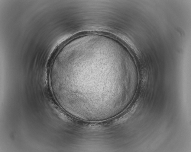 X0000112810974200909041450