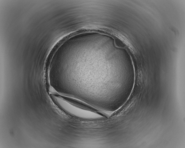 X0000112810976200909041450