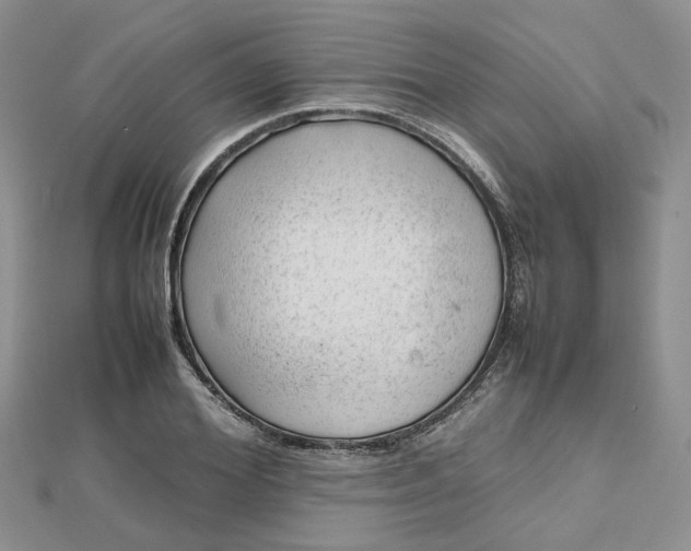 X0000112810980200909041450