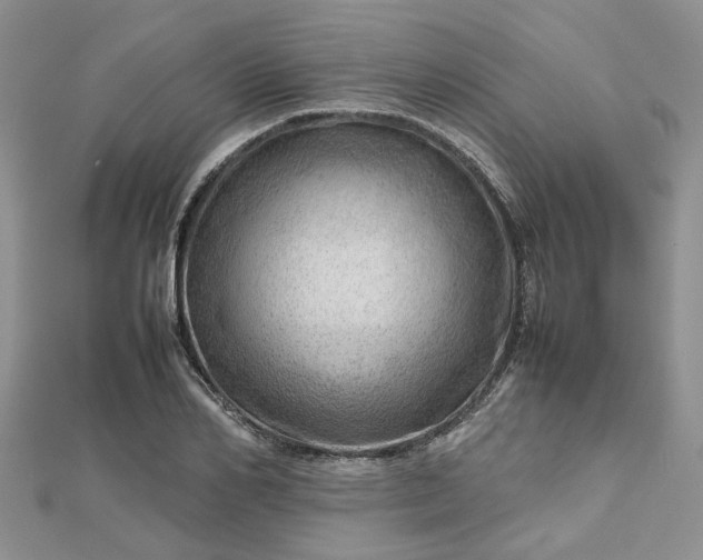 X0000112810982200909041450