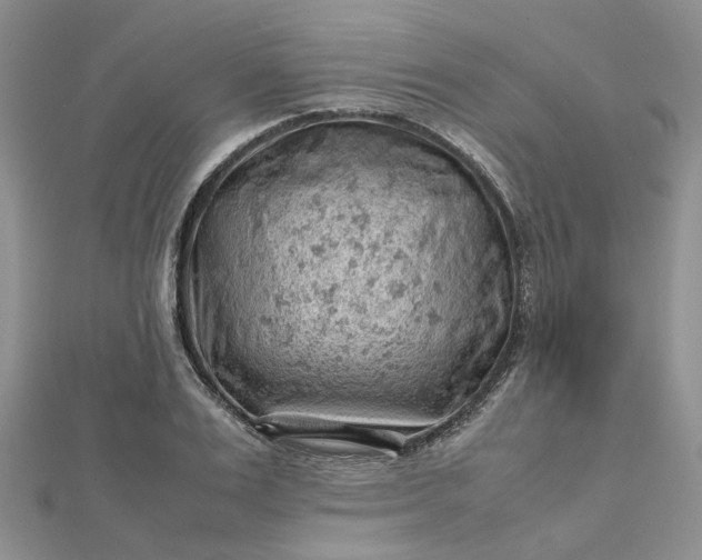 X0000112810983200909041450