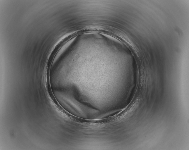 X0000112810984200909041450