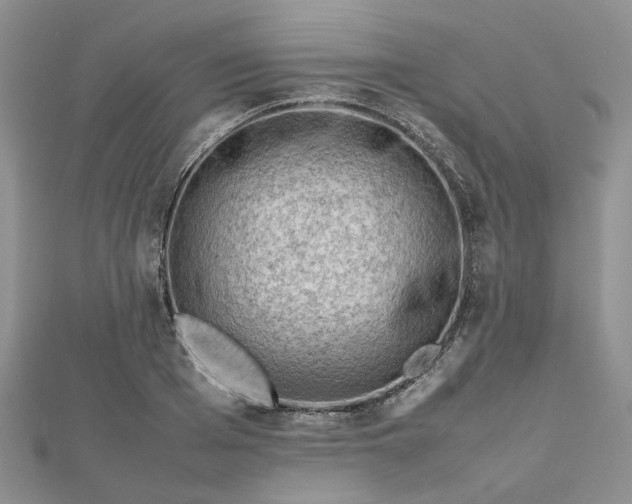 X0000112810985200909041450
